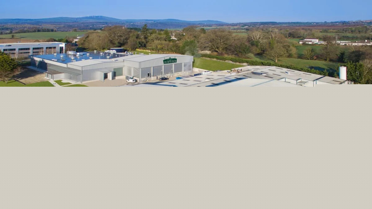 Scandi Standard buys Ireland chicken business Glenhaven Foods
