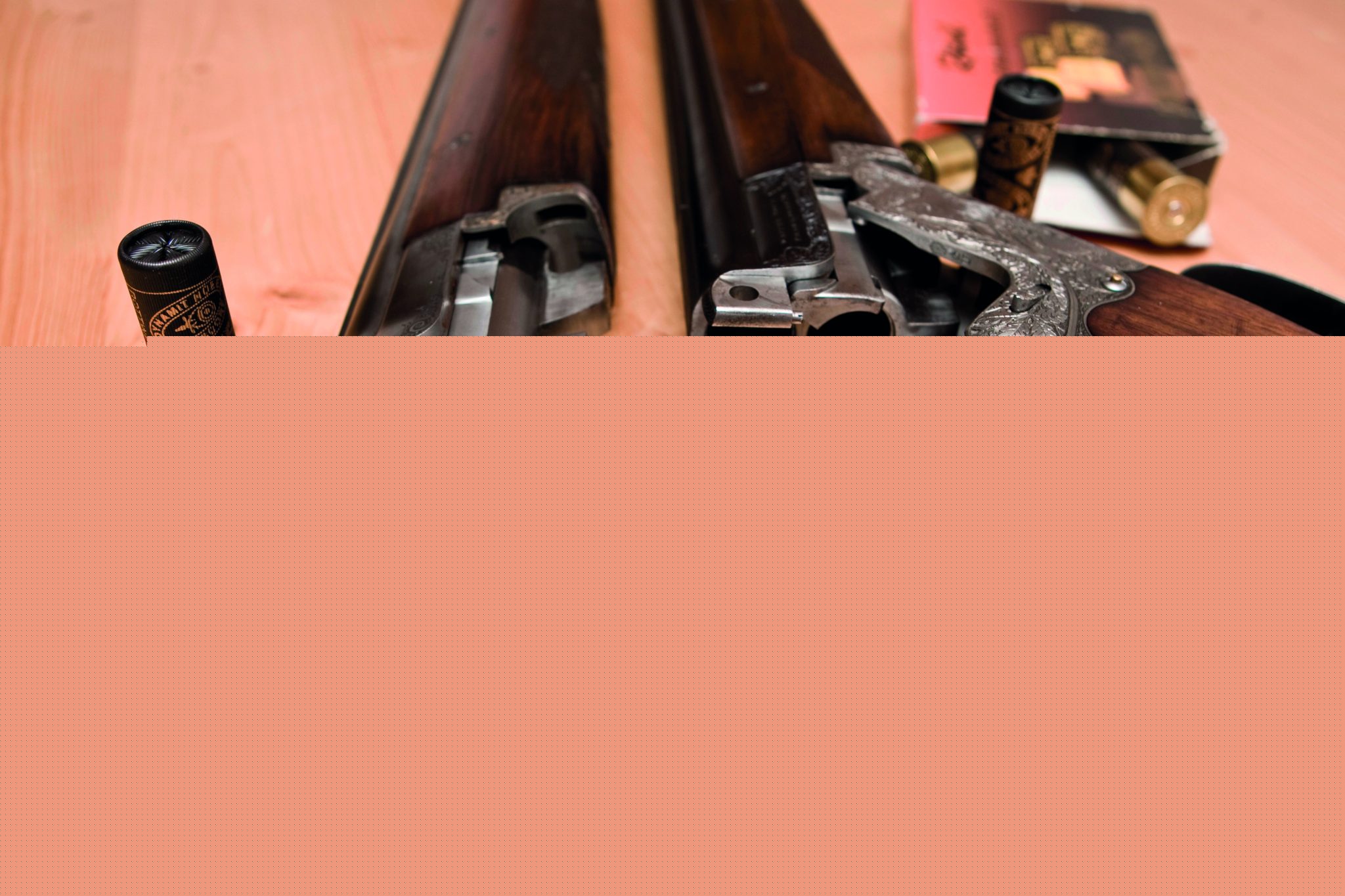 Home Office passes firearms licensing delays back to police chiefs