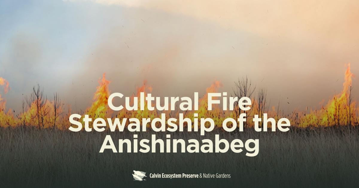 Preserve | Cultural Fire Stewardship in Michigan