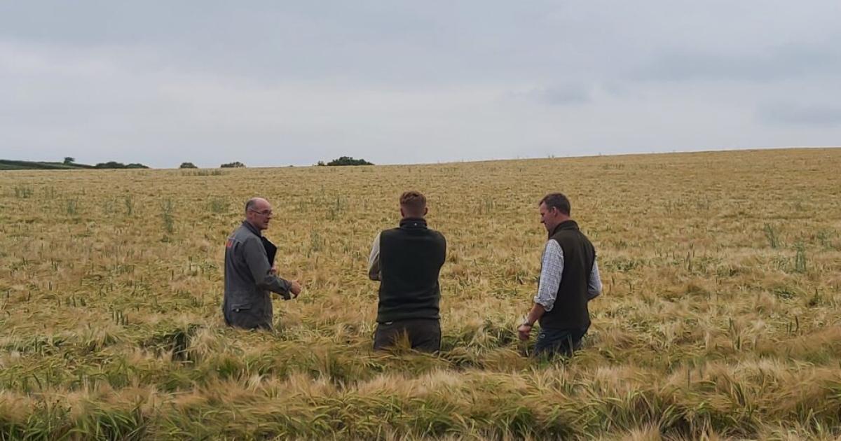 West Dorset's top farms crowned despite scorching judging conditions