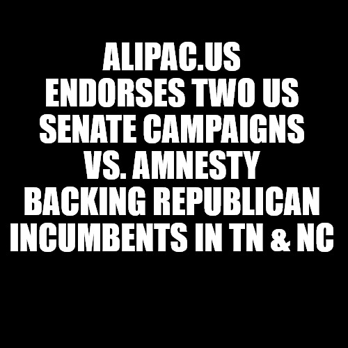 Larry Holmquist for US Senate, GOP Primary challenger Vs Amnesty Senator Thom Tillis