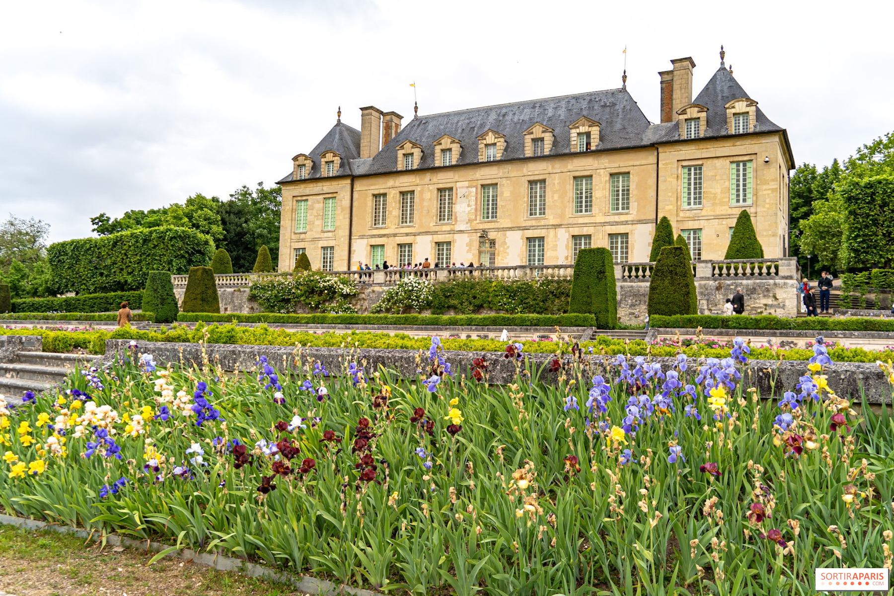 Van Gogh influenceur : une exposition sur l'héritage du peintre au Château d'Auvers-sur-Oise