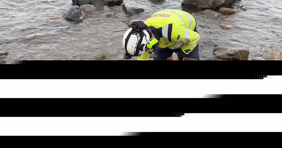 Stränder förorenade efter oljeutsläpp i Obbola: ”Otrevligt”
