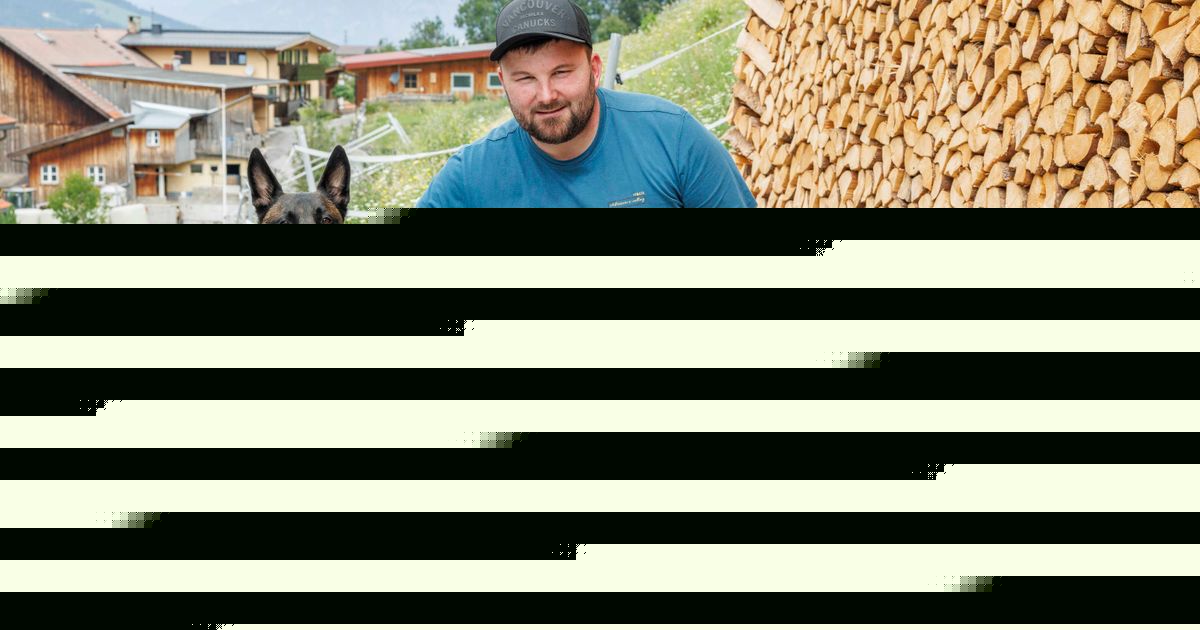 Kampf gegen Bettwanzen: Zwei neue Spürnasen sorgen in Tirol für mehr Treffsicherheit