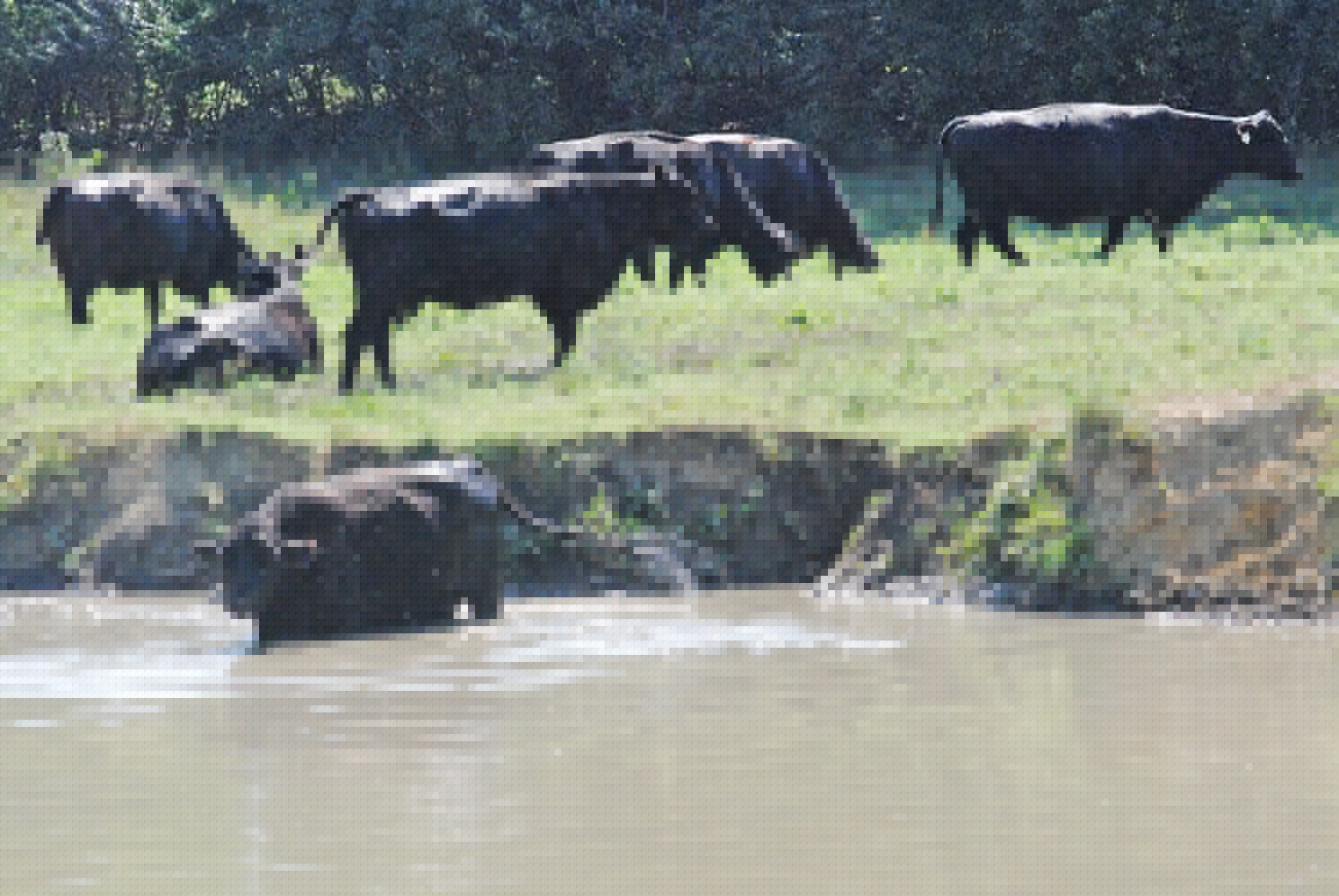 Beating the heat