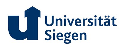 International Publication Award for Professor Sascha Kraus