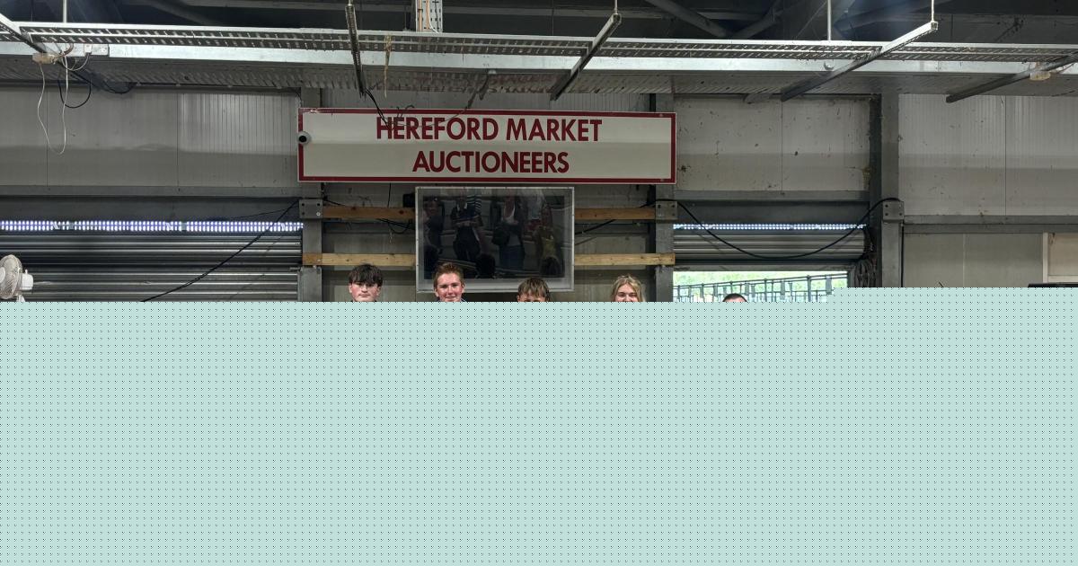 Young Farmers take junior field day trophy