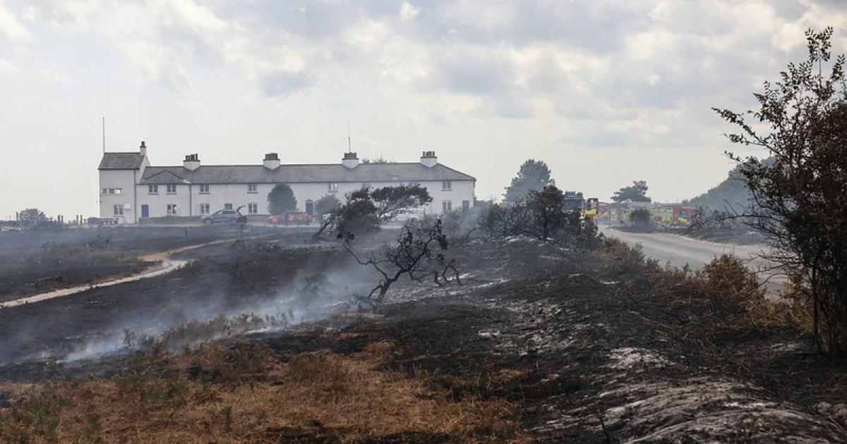 Crews still battling major heathland fire more than 120 hours on - latest