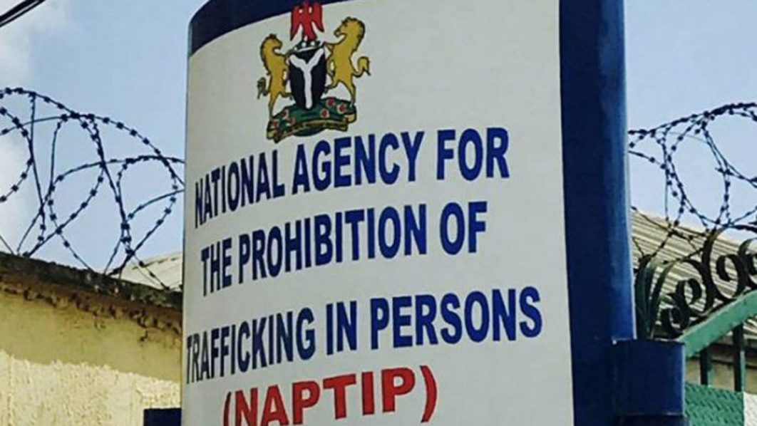 NAPTIP, partners task journalists to lead fight against GBV