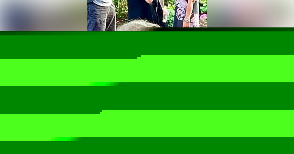 Perilli, Martin