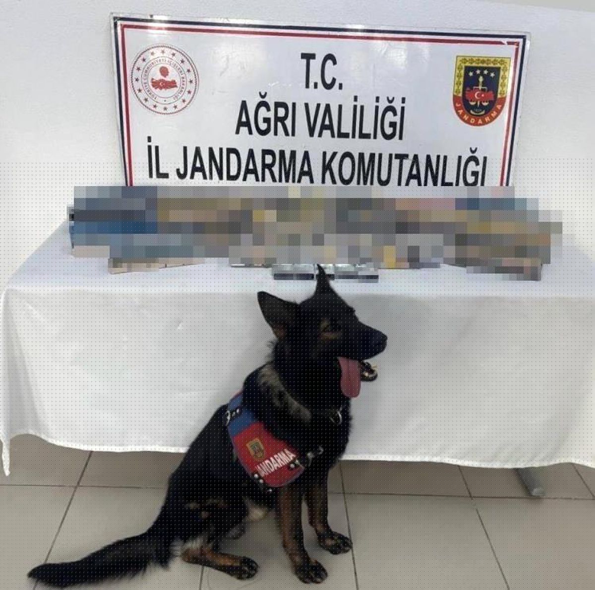 Ağrı'da Gümrük Kaçağı 1.227 Paket Sigara Ele Geçirildi