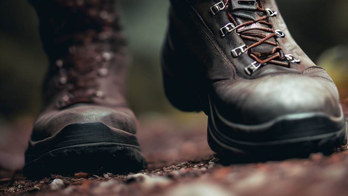 Explore Gallt y Wenallt and more with Meirionnydd Ramblers