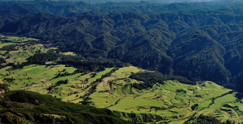 Doug Macredie | Whāngaia ā tātou tamariki ki ngā take whenua Māori