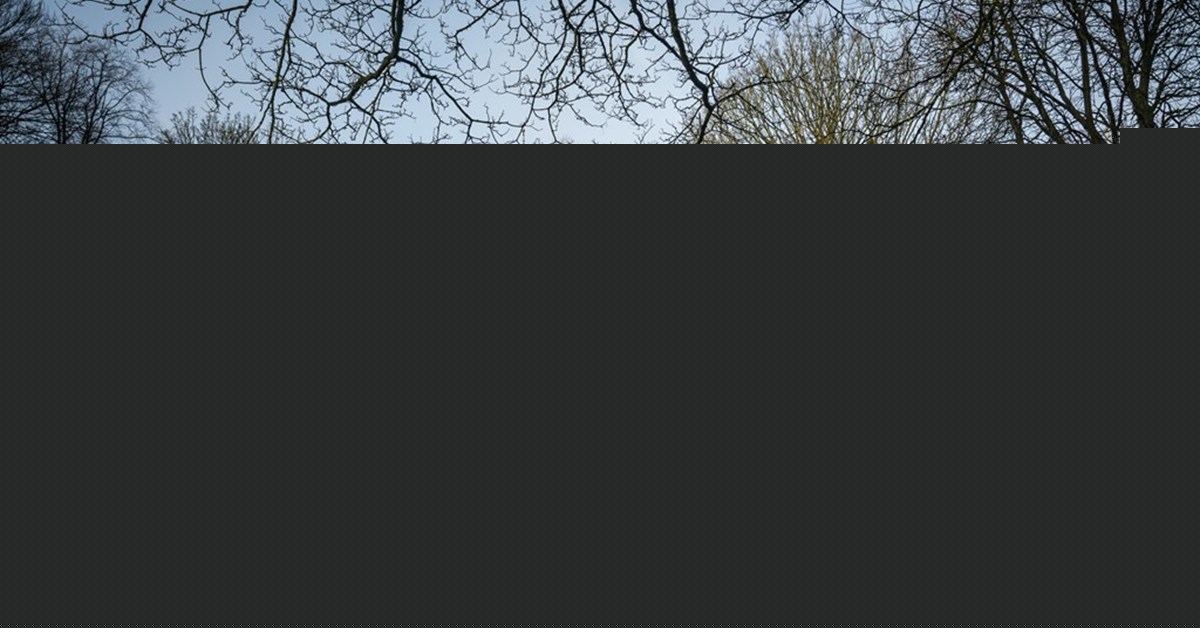 PCC of Staffordshire church may create designated area to bury ashes — with strict conditions