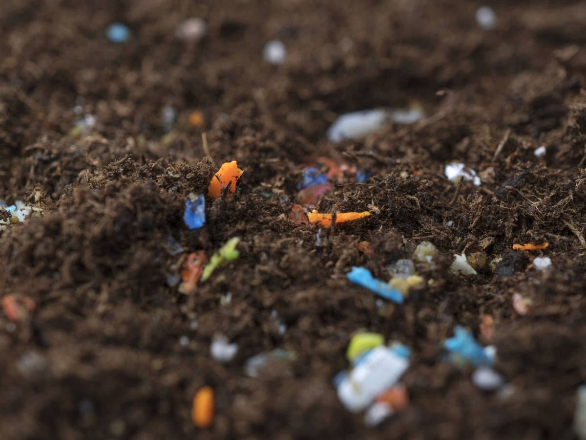 Restaurar suelos contaminados por plásticos en la agricultura, compost y microorganismos que digieren los residuos sintéticos