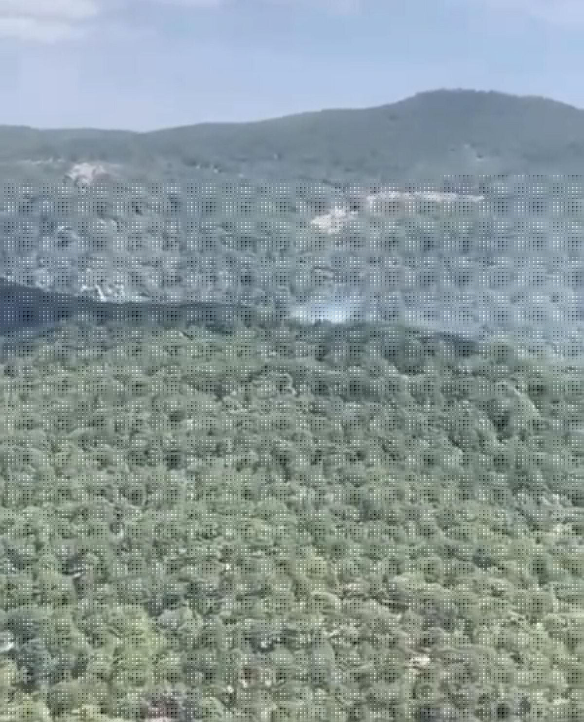 Edremit'te Orman Yangını: Ekipler Müdahale Ediyor