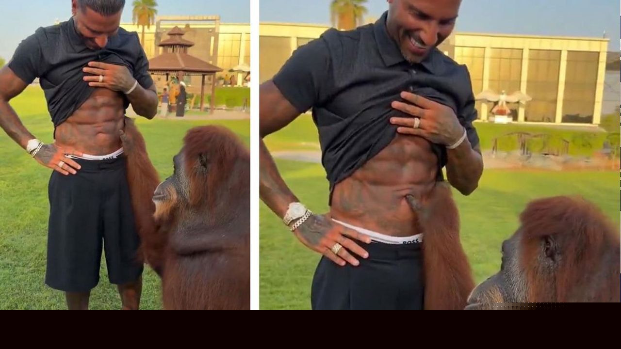 Quaresma İle Orangutanın Eğlenceli Anları