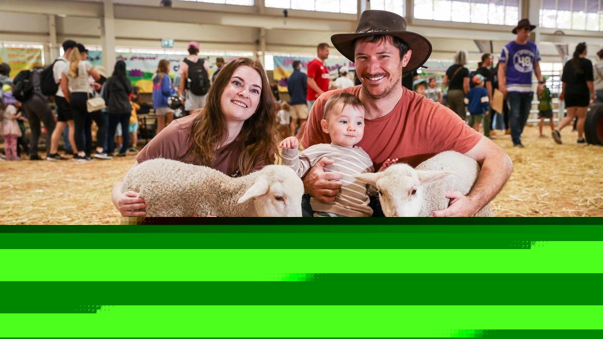 Perth Royal Show: From cows to snakes, to clowns and rides, WA’s favourite show has it all