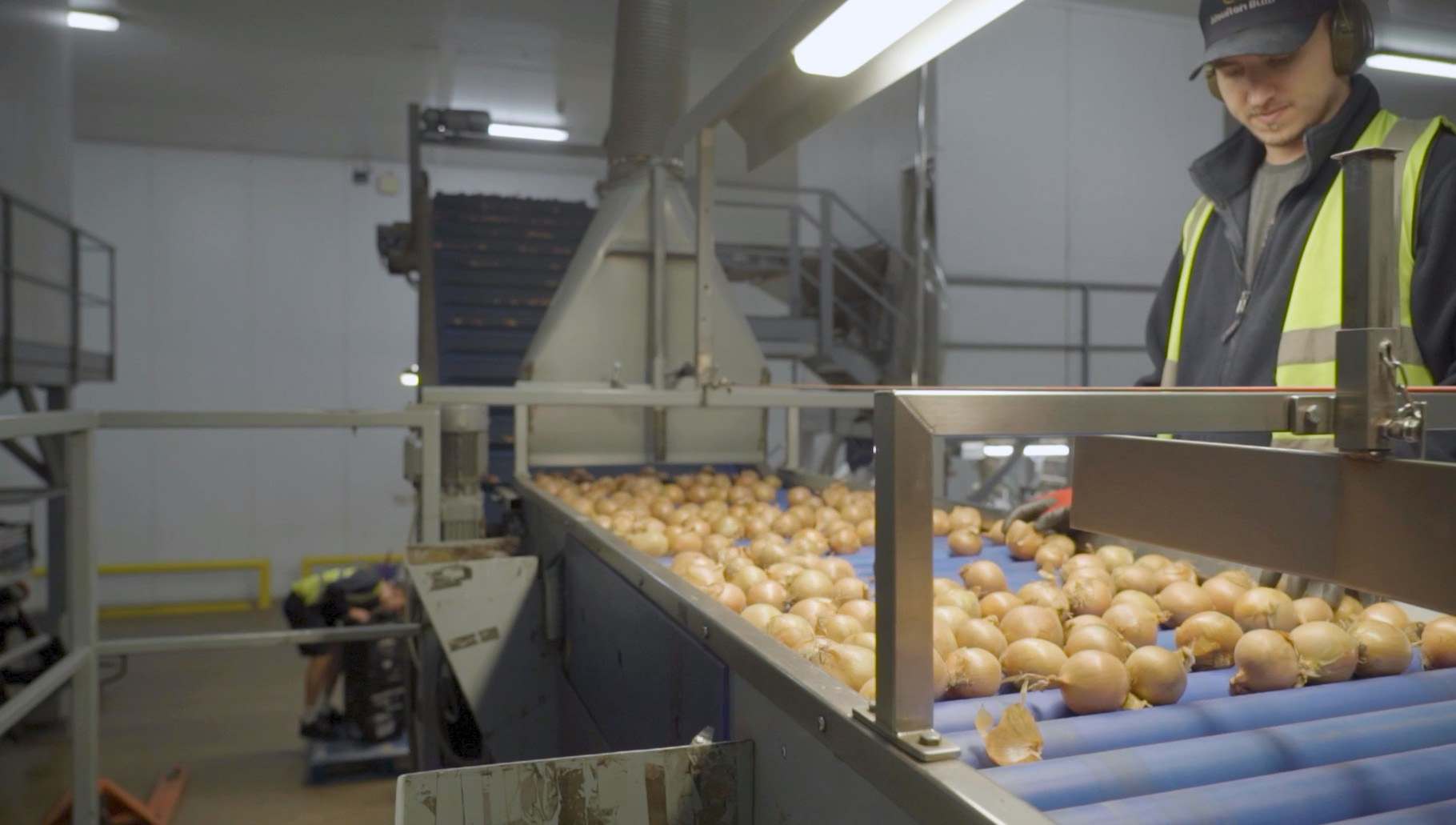 Pallet pooler IPP celebrates partnership doubling in size with family-run Moulton Bulb
