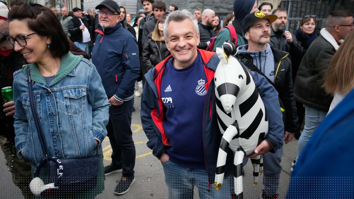 Ungarn: Minister will Untersuchung zu Zebras auf Grundstück von Viktor Orbáns Familie