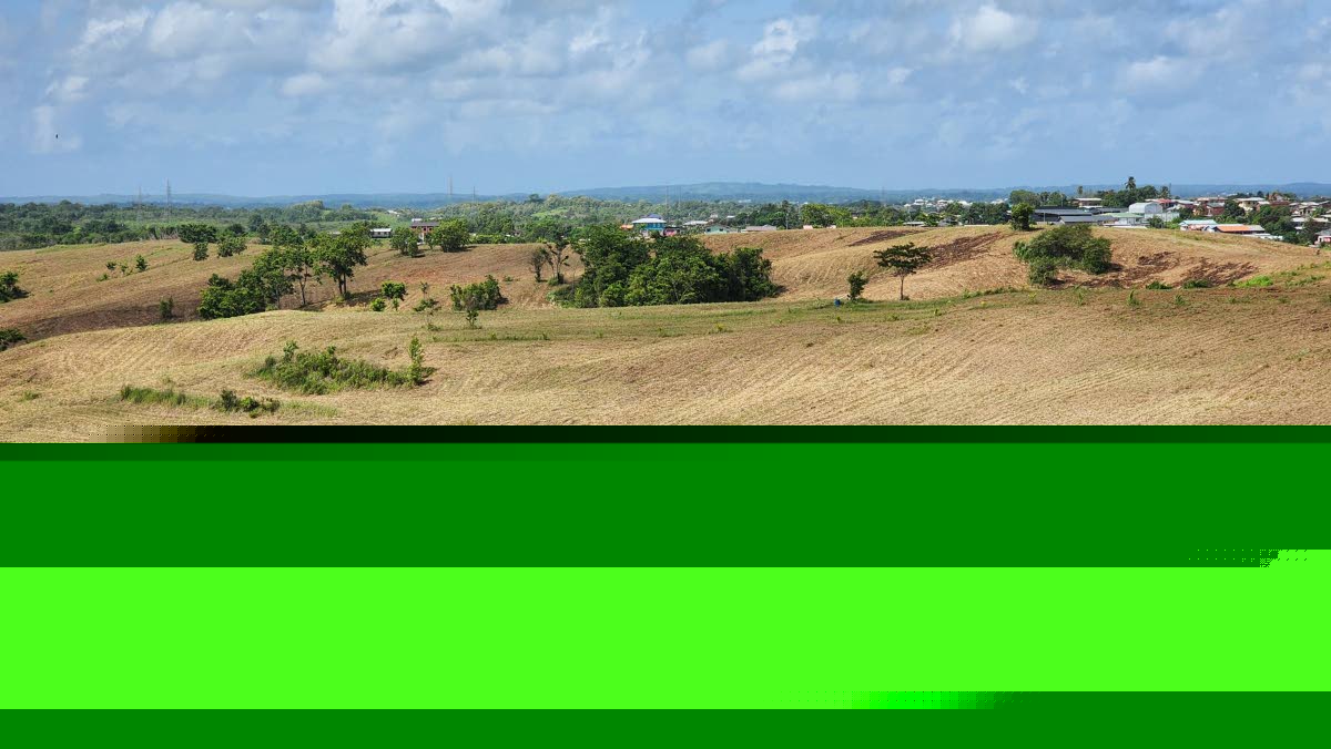 Residents seek answers as Caroni lands cleared…