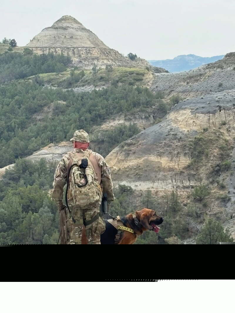 National Park Service rangers recover body of missing hiker