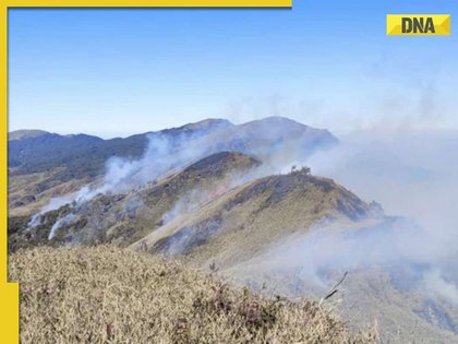 Fire in Nagalad's Dzukou Valley continues to spread, Manipur's tallest peak at risk, authorities on high alert