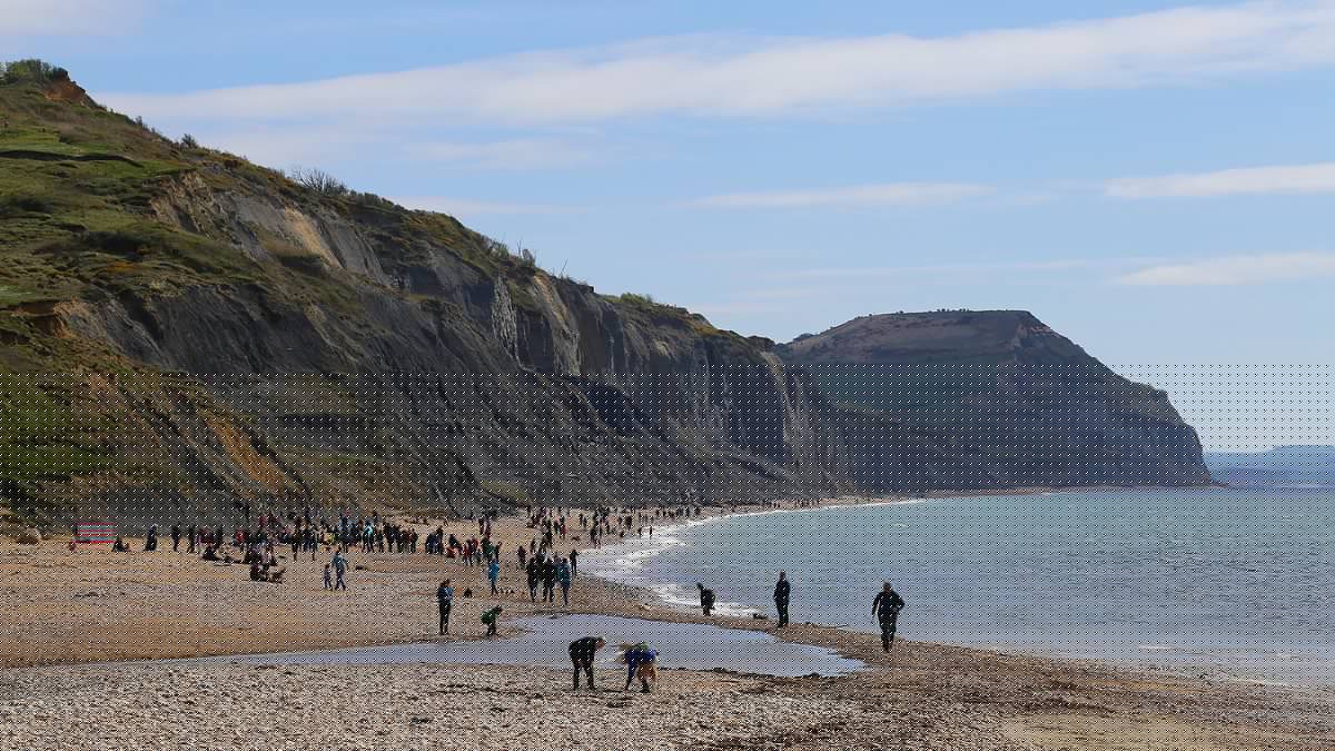 How TikTok and Instagram are fuelling a fossil-hunting boom on Britain's Jurassic Coast