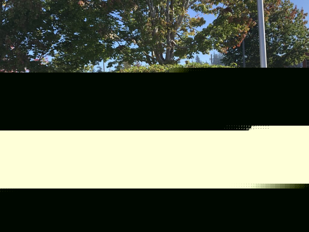 Comment on Council to review tree code amendments, consider extending school zone speed cameras for 24/7 use by Deborah Arthur