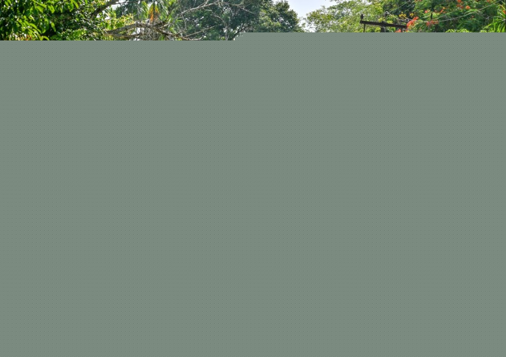 Assam flood toll rises to 80; over 2.12 lakh people affected in eight districts
