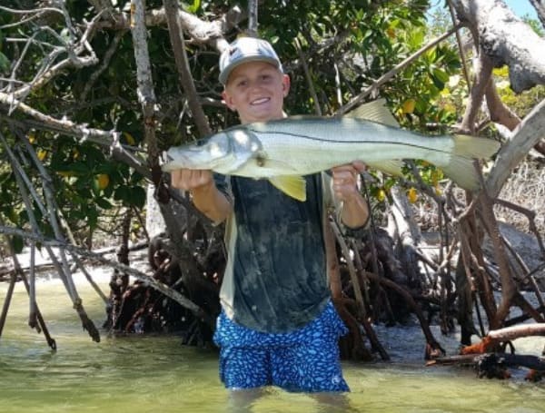 Lines In The Water: Snook Season Kicks Off Feb. 1 For Florida East Coast Anglers