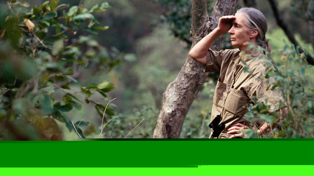 Comment on A new exhibit invites you to step into Jane Goodall’s life by What Jane Goodall taught me about bones, loss and not wasting anything | Business Remark
