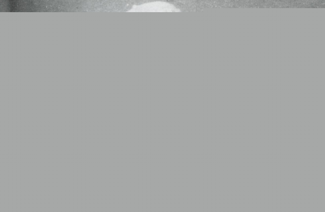 Comment on New Exhibition Highlights the History of Africans in India by Black History Month: NYC Exhibition on the African Diaspora in India at Tadias Magazine