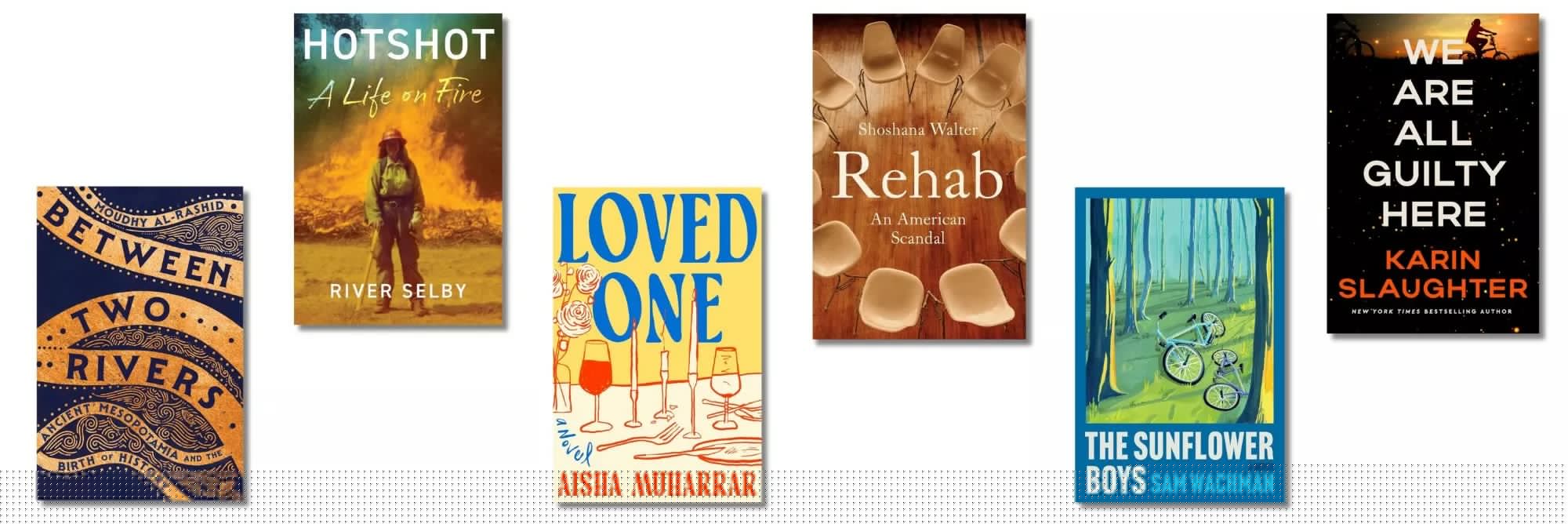 New books this week: investigating rehab, fighting wildfires, and a Slaughter thriller