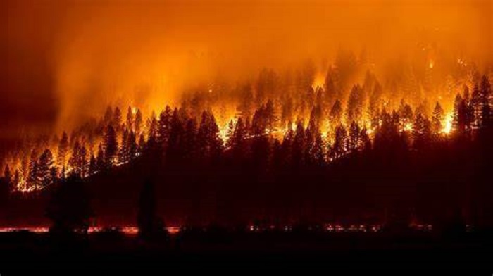 ‘This is arson’ – Group reacts as wildfires engulf North America