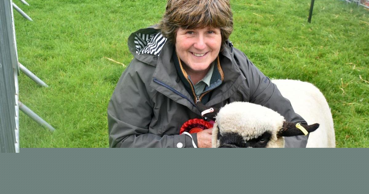 Something for everyone at Cumbria’s summer shows