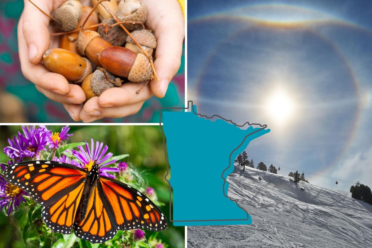 13 Signs That a Hard Winter Could Be on the Way for Minnesota