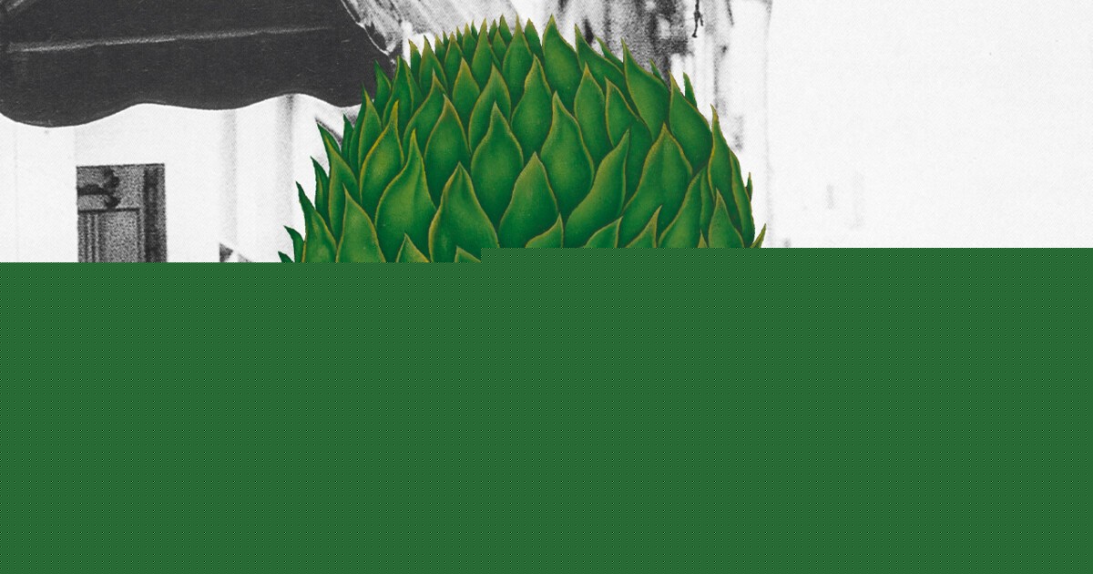 Emily Berry: I am entirely made of wood