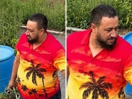 Thief accused of repeated hits on community garden in Bowmanville