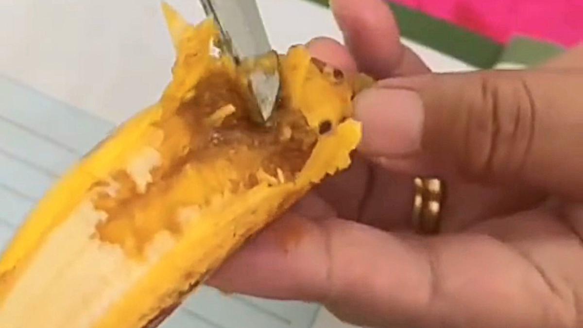 Heboh Menu Tempe dan Pisang MBG di Bulukumba Penuh Belatung