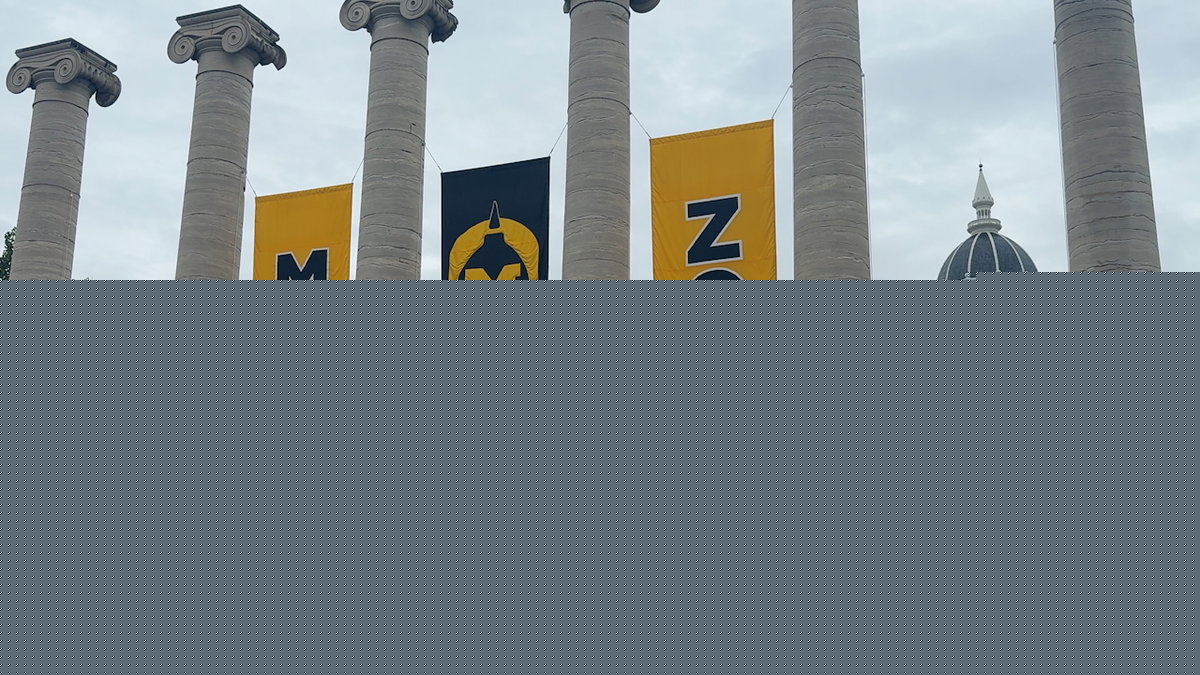 Mizzou Greek Alliance sets goal to raise awareness of ‘Danny’s Law’