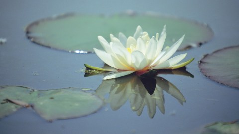 Comment on Forget the Lotus Position: How to Meditate — ADHD Style by negitivesinx