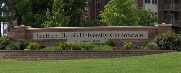 Saluki Registration Rally on August 7