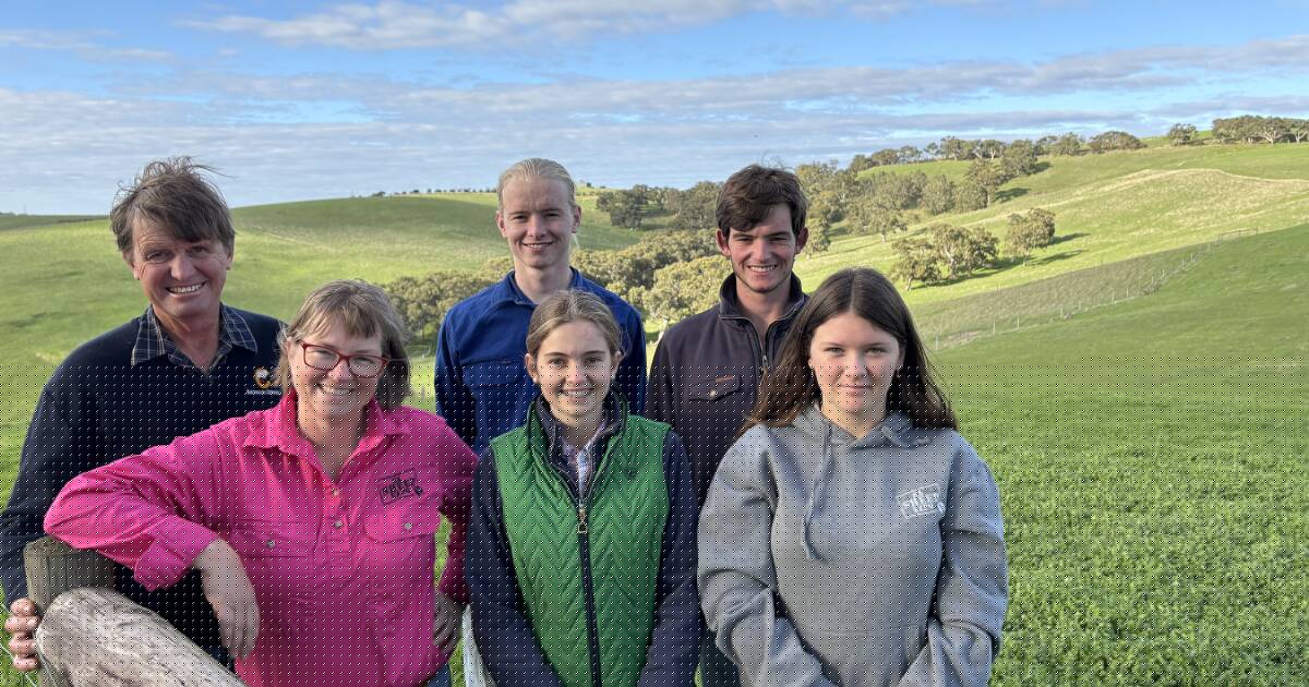 Our Stories: Corriedale centenary forged from Lush pastures on Fleurieu