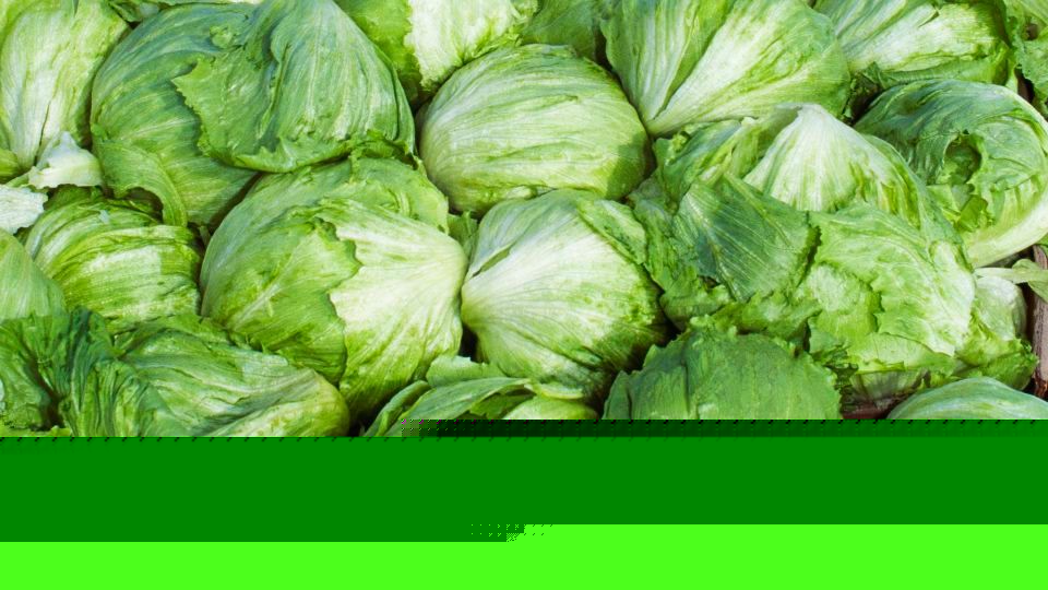 Large cyclosporiasis outbreak linked to lettuce now includes cases in 15 states