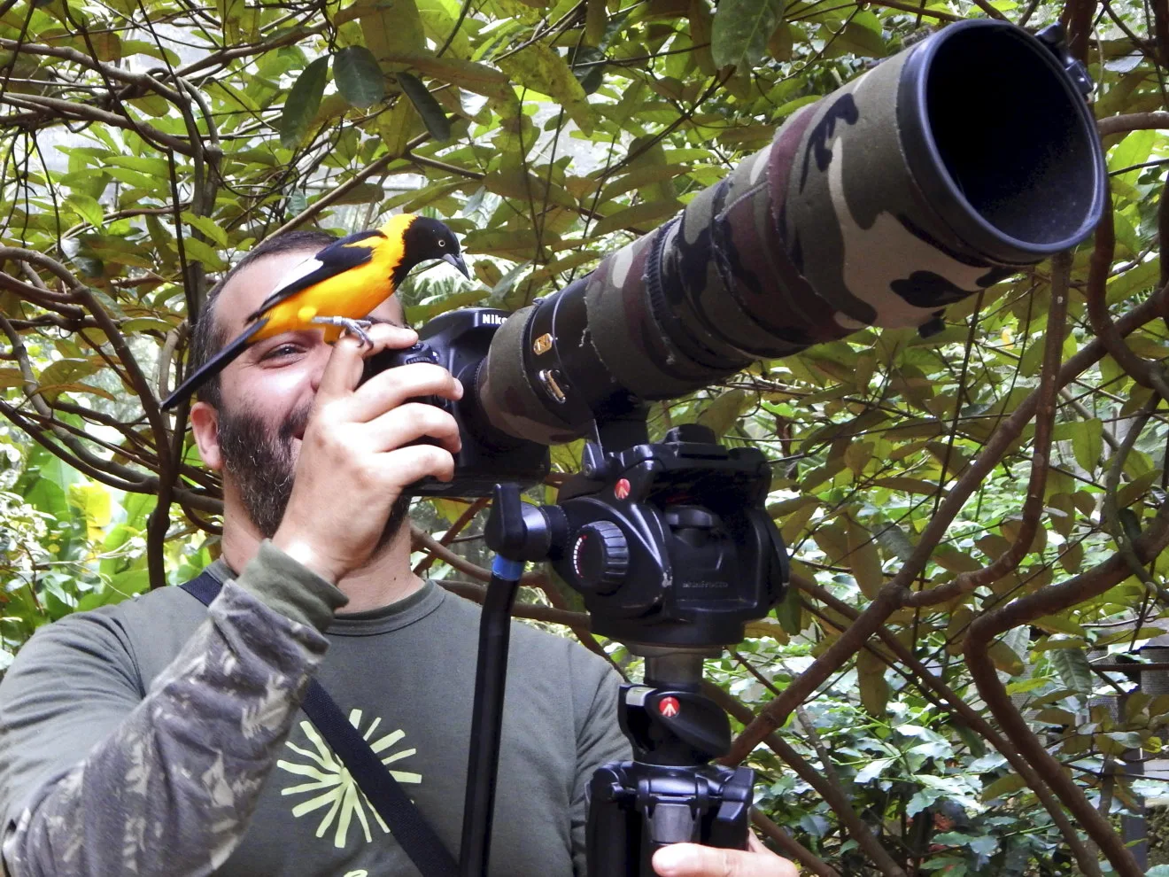 Por que ainda insistem em separar natureza e cultura?
