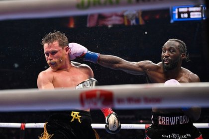 Who was the major boxing figure who advised Terence Crawford to chase Canelo fight?