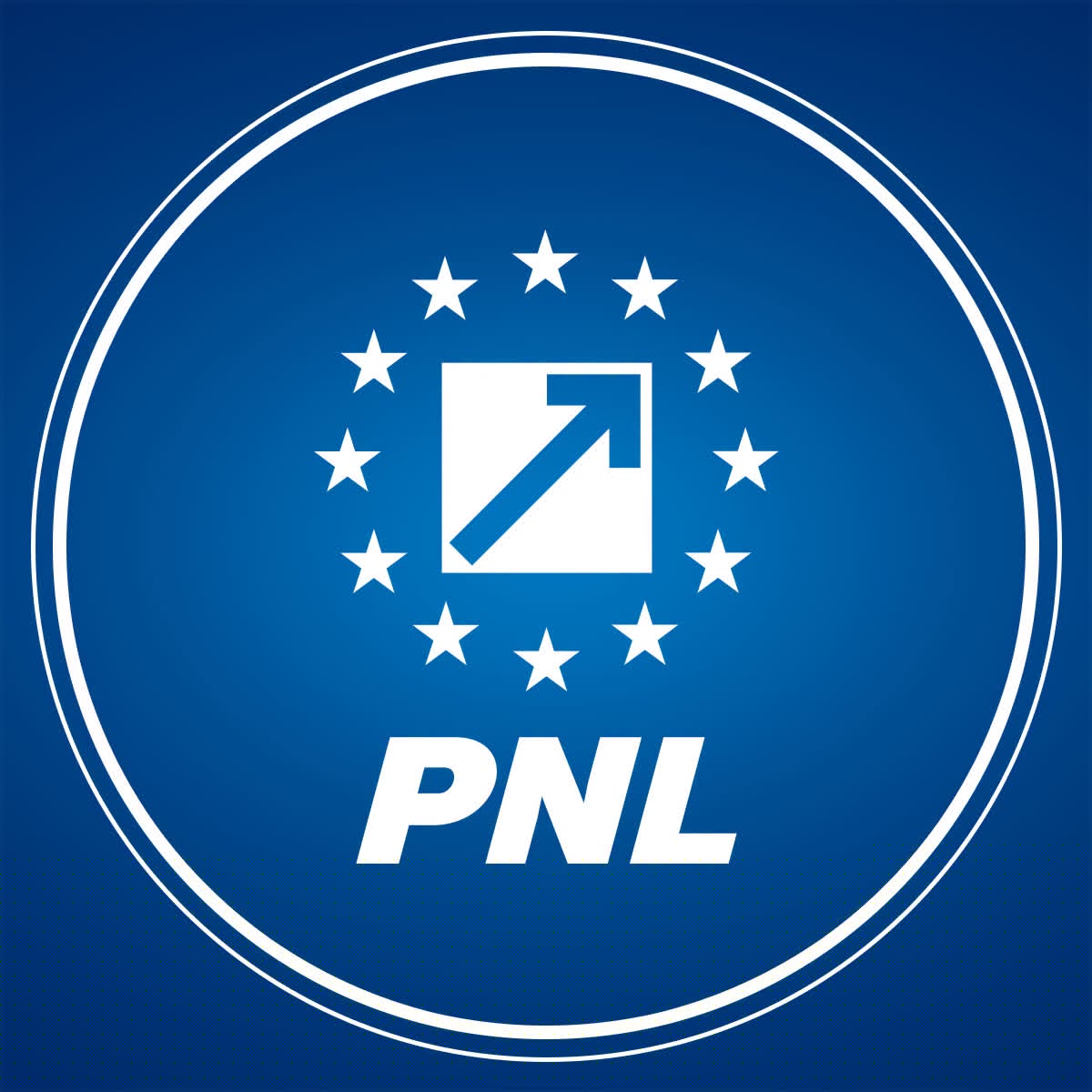 PNL: România nu își permite să piardă niciun euro. Legea salarizării trebuie adoptată cu responsabilitate