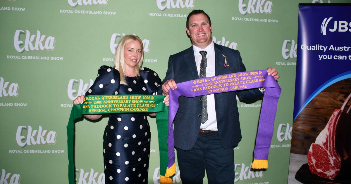 Angus rebuild pays off with grand champion beef carcase for Condamine family