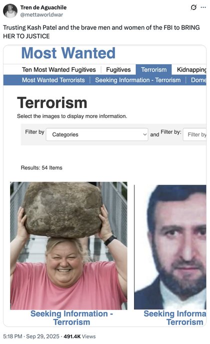 AI Lady With Rock Breaking Glass Bridge - Trusting Kash Patel and the brave men and women of the FBI to BRING HER TO JUSTICE